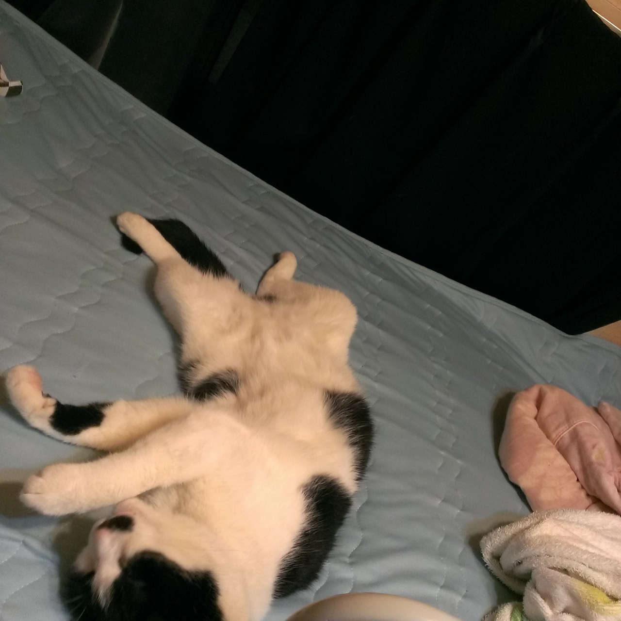 �ő��ɒ����Ȃ�BJC